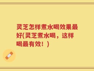 灵芝怎样煮水喝效果最好(灵芝煮水喝，这样喝最有效！)