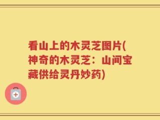 看山上的木灵芝图片(神奇的木灵芝：山间宝藏供给灵丹妙药)