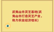 武夷山市灵芝基地(武夷山市打造灵芝产业，助力农业经济增长)