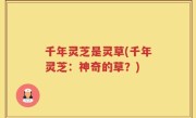 千年灵芝是灵草(千年灵芝：神奇的草？)