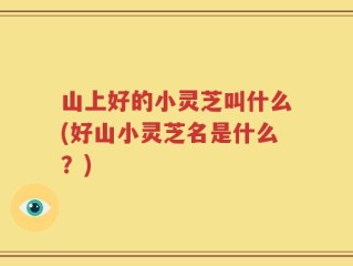 山上好的小灵芝叫什么(好山小灵芝名是什么？)