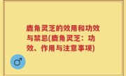 鹿角灵芝的效用和功效与禁忌(鹿角灵芝：功效、作用与注意事项)