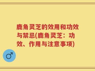 鹿角灵芝的效用和功效与禁忌(鹿角灵芝：功效、作用与注意事项)