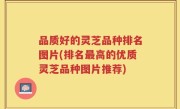 品质好的灵芝品种排名图片(排名最高的优质灵芝品种图片推荐)