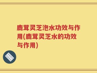 鹿茸灵芝泡水功效与作用(鹿茸灵芝水的功效与作用)