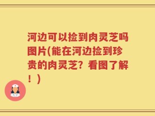 河边可以捡到肉灵芝吗图片(能在河边捡到珍贵的肉灵芝？看图了解！)