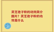 灵芝孢子粉的功效简介图片？灵芝孢子粉的功效是什么