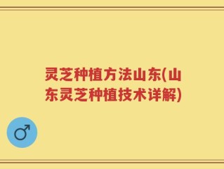 灵芝种植方法山东(山东灵芝种植技术详解)