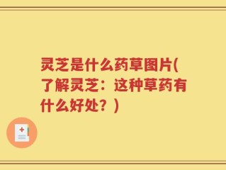 灵芝是什么药草图片(了解灵芝：这种草药有什么好处？)