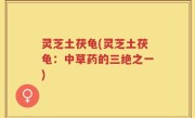 灵芝土茯龟(灵芝土茯龟：中草药的三绝之一)