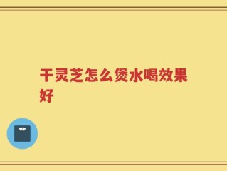 干灵芝怎么煲水喝效果好