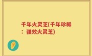 千年火灵芝(千年珍稀：强效火灵芝)