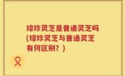 琼珍灵芝是普通灵芝吗(琼珍灵芝与普通灵芝有何区别？)