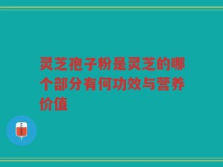 灵芝孢子粉是灵芝的哪个部分有何功效与营养价值