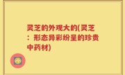 灵芝的外观大的(灵芝：形态异彩纷呈的珍贵中药材)