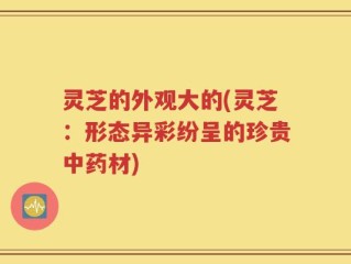 灵芝的外观大的(灵芝：形态异彩纷呈的珍贵中药材)