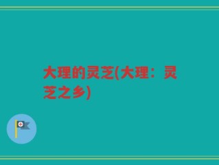 大理的灵芝(大理：灵芝之乡)
