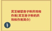 灵芝破壁孢子粉药效和作用(灵芝孢子粉的药效和作用简介)