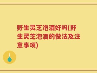 野生灵芝泡酒好吗(野生灵芝泡酒的做法及注意事项)