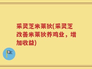 采灵芝米莱狄(采灵芝改善米莱狄养鸡业，增加收益)