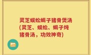 灵芝蜈蚣蝎子猪骨煲汤(灵芝、蜈蚣、蝎子炖猪骨汤，功效神奇)
