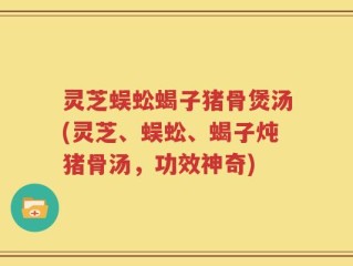 灵芝蜈蚣蝎子猪骨煲汤(灵芝、蜈蚣、蝎子炖猪骨汤，功效神奇)