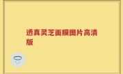 透真灵芝面膜图片高清版