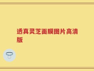 透真灵芝面膜图片高清版