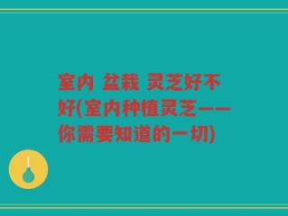 室内 盆栽 灵芝好不好(室内种植灵芝——你需要知道的一切)