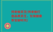 何老板灵芝(何老板打造品质灵芝，引领健康养生新时代)