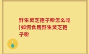 野生灵芝孢子粉怎么吃(如何食用野生灵芝孢子粉