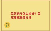 灵芝孢子怎么治好？灵芝移植最佳方法