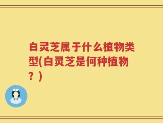 白灵芝属于什么植物类型(白灵芝是何种植物？)