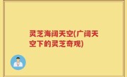 灵芝海阔天空(广阔天空下的灵芝奇观)