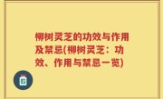柳树灵芝的功效与作用及禁忌(柳树灵芝：功效、作用与禁忌一览)