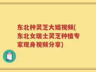 东北种灵芝大姐视频(东北女瑞士灵芝种植专家现身视频分享)