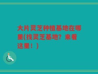 大片灵芝种植基地在哪里(找灵芝基地？来看这里！)