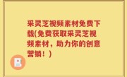 采灵芝视频素材免费下载(免费获取采灵芝视频素材，助力你的创意营销！)