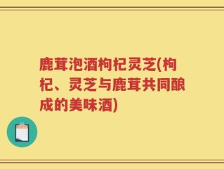 鹿茸泡酒枸杞灵芝(枸杞、灵芝与鹿茸共同酿成的美味酒)