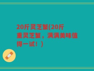 20斤灵芝蟹(20斤重灵芝蟹，满满美味值得一试！)