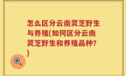 怎么区分云南灵芝野生与养殖(如何区分云南灵芝野生和养殖品种？)