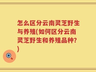怎么区分云南灵芝野生与养殖(如何区分云南灵芝野生和养殖品种？)