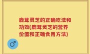 鹿茸灵芝的正确吃法和功效(鹿茸灵芝的营养价值和正确食用方法)