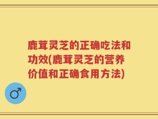 鹿茸灵芝的正确吃法和功效(鹿茸灵芝的营养价值和正确食用方法)
