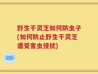 野生干灵芝如何防虫子(如何防止野生干灵芝遭受害虫侵扰)