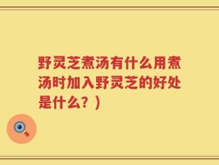 野灵芝煮汤有什么用煮汤时加入野灵芝的好处是什么？)