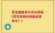 灵芝最晚多久可以采收(灵芝采收时间最迟是多久？)