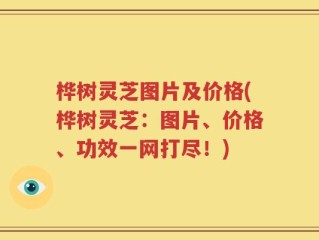 桦树灵芝图片及价格(桦树灵芝：图片、价格、功效一网打尽！)