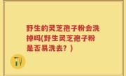 野生的灵芝孢子粉会洗掉吗(野生灵芝孢子粉是否易洗去？)