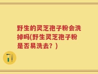 野生的灵芝孢子粉会洗掉吗(野生灵芝孢子粉是否易洗去？)